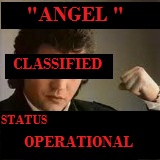 #7 SGT."ANGEL"  Confirmed Kills > 2